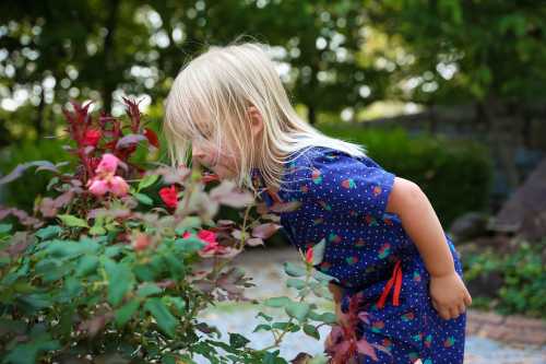 A young child with blonde hair leans in to smell colorful flowers in a garden.