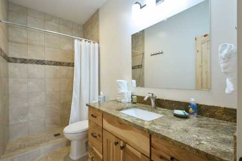 A modern bathroom featuring a shower, sink with wooden cabinets, and a large mirror.