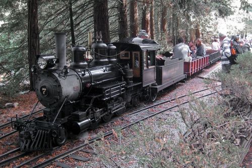 A vintage steam train with passengers rides along a forested track surrounded by trees and fallen leaves.