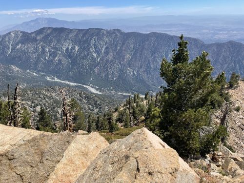 A scenic mountain view with rocky terrain, pine trees, and distant peaks under a clear blue sky.