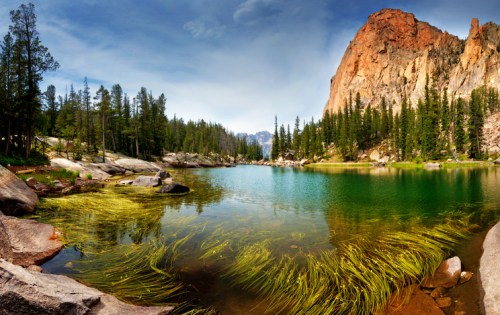 A serene lake surrounded by tall trees and rocky mountains, with vibrant green aquatic plants in the water.
