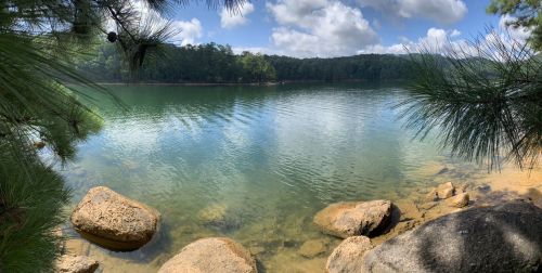 A serene lake surrounded by trees and rocks, reflecting clouds and greenery on a sunny day.