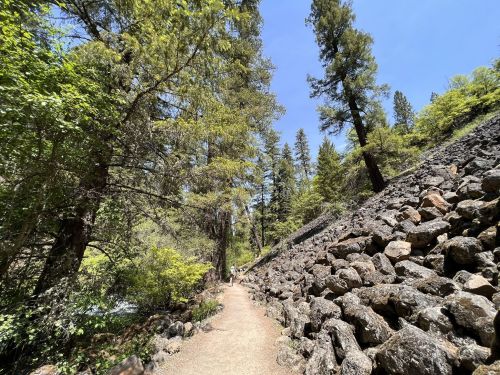 A narrow path winds through a lush forest, flanked by tall trees and rocky terrain under a clear blue sky.
