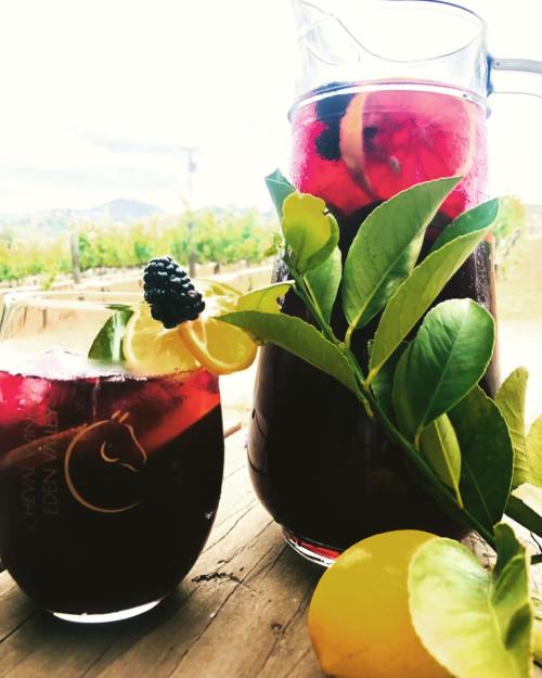 A pitcher and glass of colorful fruit drink, garnished with lemon and berries, set against a scenic vineyard backdrop.