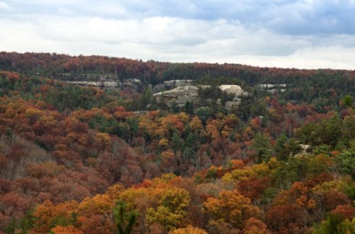 A scenic view of autumn foliage with vibrant orange and red trees, rocky cliffs, and a cloudy sky in the background.
