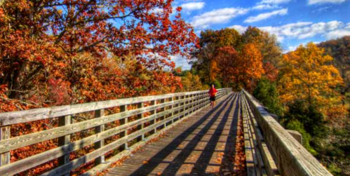 A person jogs on a wooden bridge surrounded by vibrant autumn foliage under a blue sky with fluffy clouds.