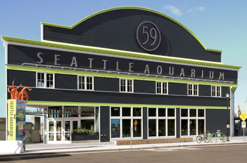 Exterior of the Seattle Aquarium, featuring a large sign and modern architecture with green accents.
