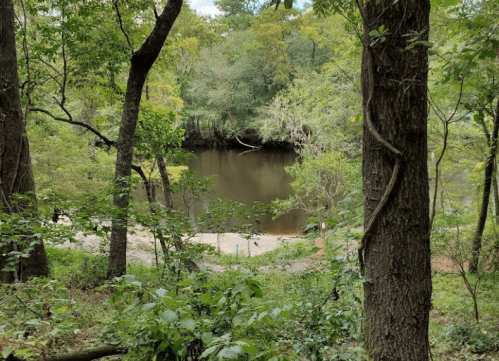 A serene river scene framed by trees, with lush greenery and calm water reflecting the surrounding nature.