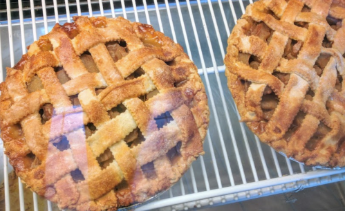Two freshly baked apple pies with golden brown lattice crusts, displayed in a glass case.
