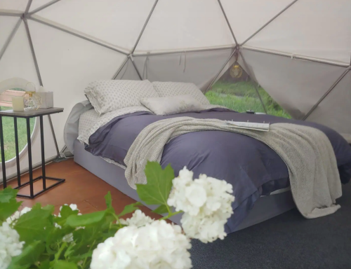 Cozy interior of a geodesic dome featuring a bed with purple bedding and a small table, surrounded by greenery.