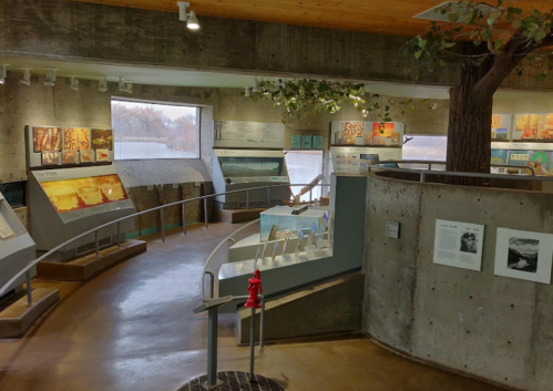 Interior view of a modern museum exhibit featuring artwork and informational displays, with large windows and a tree.