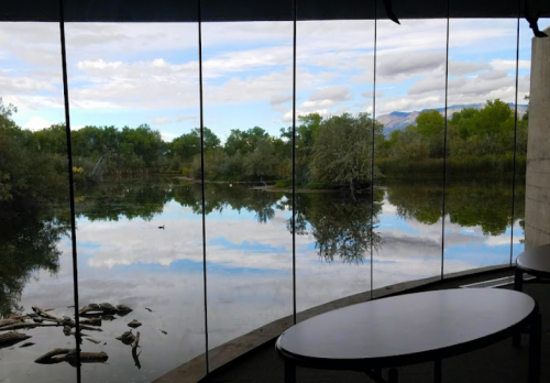 A serene view of a river surrounded by trees, reflected in glass windows, with clouds in the sky above.