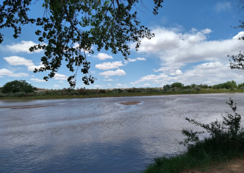 A serene river scene with blue skies, fluffy clouds, and lush greenery along the banks.