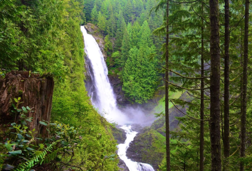 A stunning waterfall cascades down a rocky cliff, surrounded by lush green trees and mist in a serene forest setting.