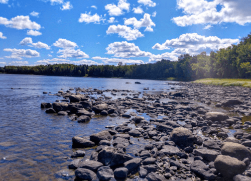 A rocky shoreline by a calm river under a bright blue sky with fluffy clouds and green trees in the background.