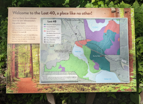 Signboard in a forest, introducing the Lost 40 area with a map and information about its unique pine trees.