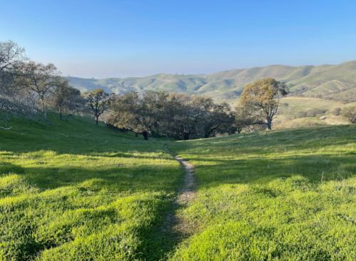 A winding path through lush green grass, surrounded by rolling hills and trees under a clear blue sky.