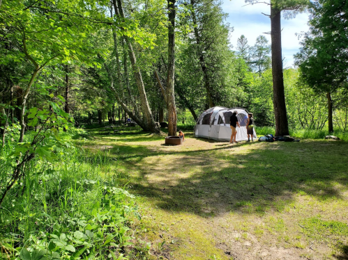 A campsite surrounded by trees, featuring a tent and a fire pit, with two people walking nearby.