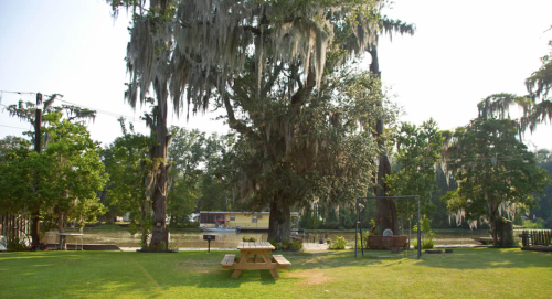 A serene outdoor scene featuring a picnic table under large trees with Spanish moss, near a calm waterway.