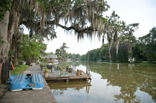 A serene riverside scene with a dock, kayaks, and lush trees draped in Spanish moss reflecting in the calm water.