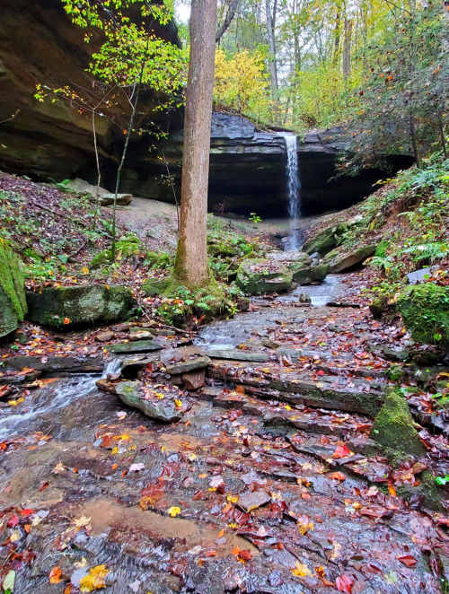 A serene forest scene with a waterfall cascading over rocks, surrounded by autumn foliage and a winding stream.