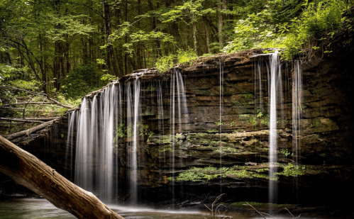 A serene waterfall cascading over rocky cliffs, surrounded by lush green foliage in a tranquil forest setting.