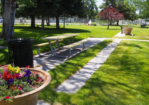 A sunny park scene featuring a picnic table, flower pots, and well-maintained grass with trees in the background.