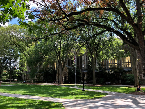 A sunny campus scene with lush green trees and a building in the background, featuring a flagpole and pathways.