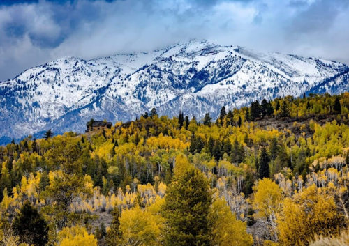 Snow-capped mountains rise above a forest of vibrant autumn trees under a cloudy sky.