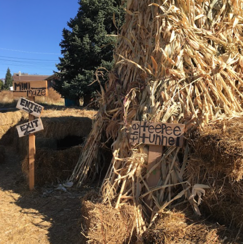 A sunny outdoor scene featuring a straw maze with signs for "Mini Maze," "Enter," and "Exit."