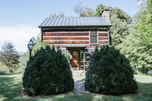 A rustic log cabin with a metal roof, surrounded by lush greenery and two large shrubs in the foreground.