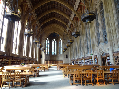 A spacious library with high ceilings, large windows, and wooden tables surrounded by bookshelves.