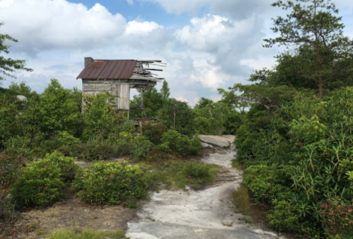 A dilapidated wooden structure with a rusty roof surrounded by lush greenery and a rocky path.