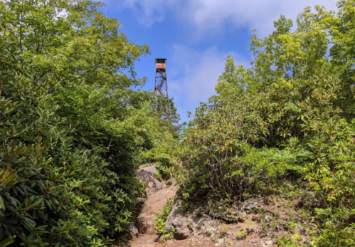 A narrow path leads through lush greenery to a lookout tower against a blue sky.