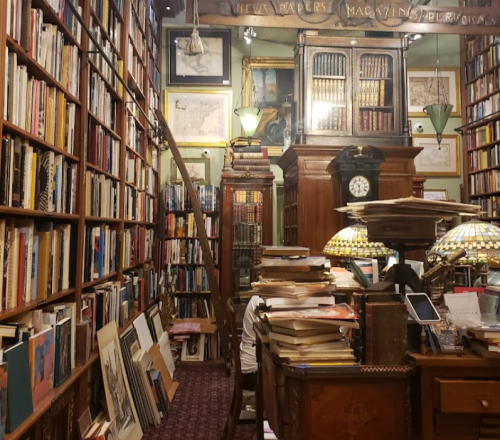 A cozy library filled with tall bookshelves, a wooden desk, and a ladder, creating a warm, inviting atmosphere.