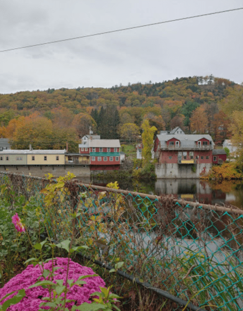 A scenic view of colorful autumn trees, houses by a river, and flowers in the foreground.