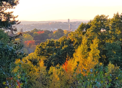 A scenic view of a colorful autumn landscape with trees and a distant city skyline under a golden sunset.