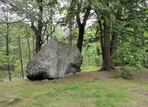 A large boulder sits on grassy ground surrounded by trees in a lush, green forest.
