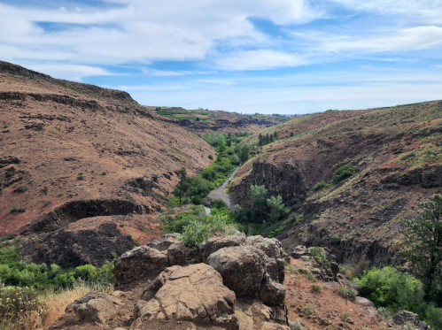 A scenic view of a dry canyon with rocky terrain and patches of greenery under a blue sky with scattered clouds.