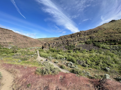 A scenic landscape featuring rolling hills, a winding path, and vibrant greenery under a blue sky with wispy clouds.