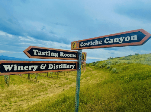Signpost with arrows pointing to "Cowiche Canyon," "Tasting Rooms," and "Winery & Distillery" in a grassy landscape.