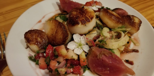 A plate of seared scallops with fresh salsa, herbs, and a flower garnish on a wooden table.