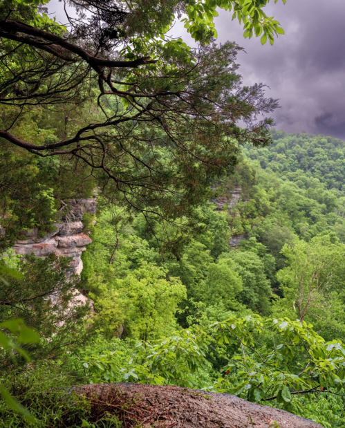 Lush green forest with rocky cliffs under a cloudy sky, framed by tree branches in the foreground.