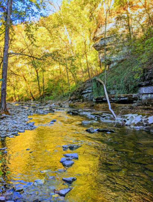A serene stream flows through a forest, reflecting golden autumn leaves and surrounded by rocky cliffs.