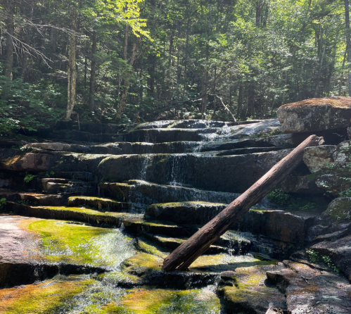 A serene waterfall cascades over moss-covered rocks in a lush, green forest. Sunlight filters through the trees.