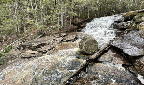 A serene waterfall cascades over rocky terrain, surrounded by lush green trees in a tranquil forest setting.