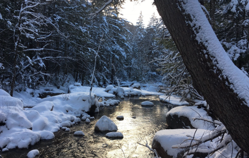 A serene winter scene featuring a snow-covered river surrounded by trees and rocks, reflecting soft sunlight.