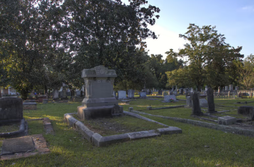 A peaceful cemetery scene with gravestones and trees under a clear sky, bathed in warm sunlight.