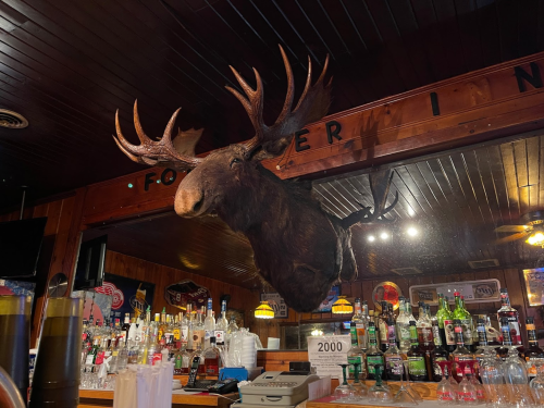 A mounted moose head hangs above a bar filled with various bottles and a wooden ceiling.