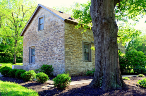 A stone house surrounded by greenery and a large tree, set in a sunny outdoor environment.